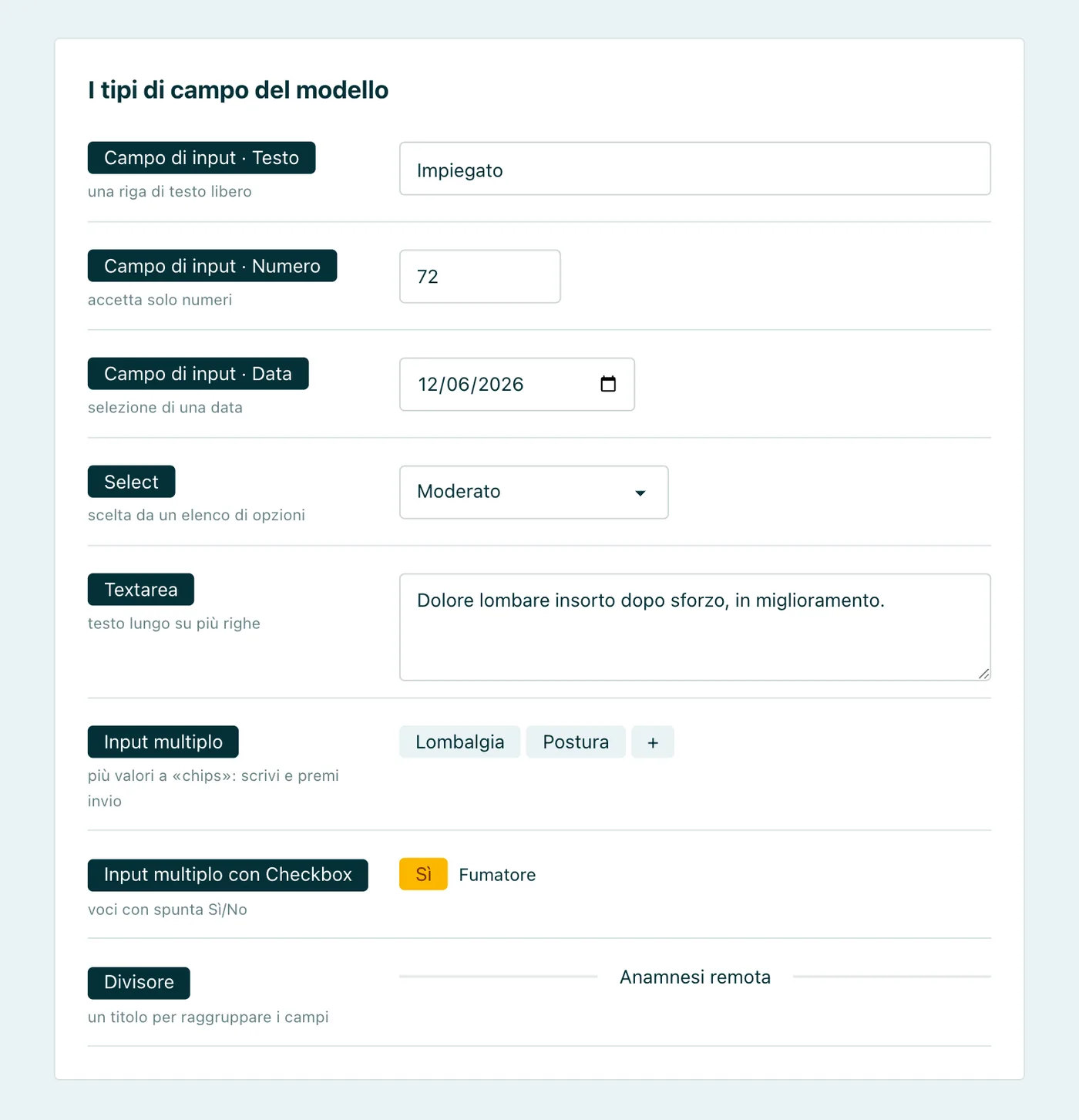 Riferimento · tipi di campo Ogni tipologia e come si presenta in compilazione: testo, numero, data, select, textarea, input multiplo, con checkbox e divisore.